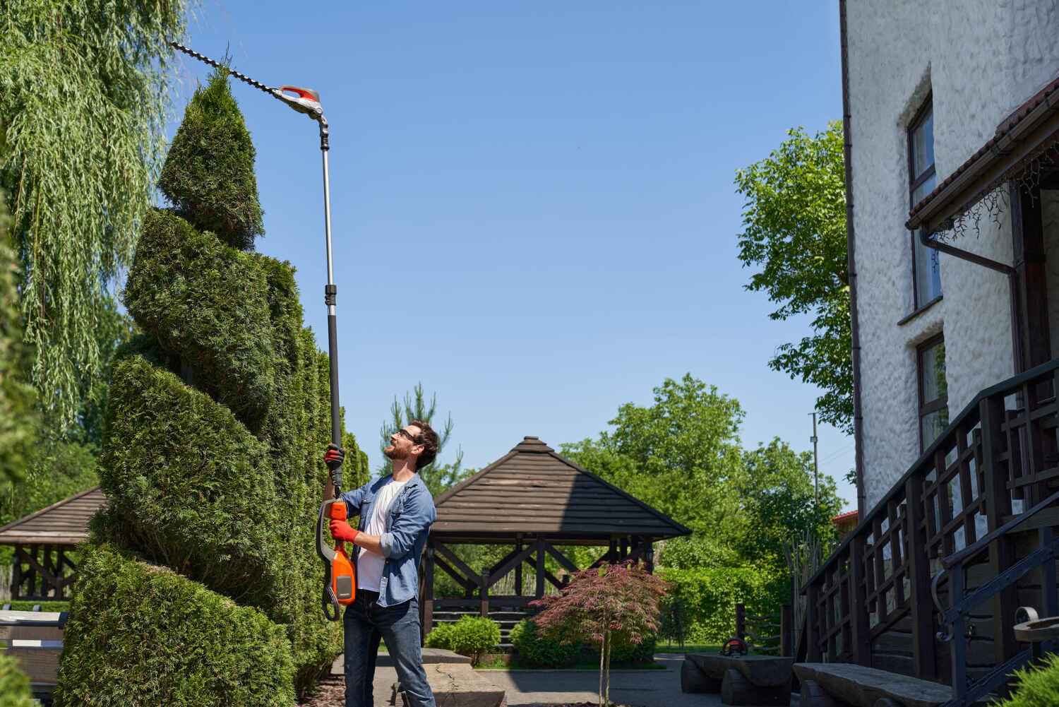 Residential Tree Removal in Lockwood, MO